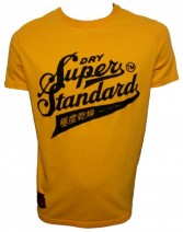 Neon New Standard Entry T Shirt by Superdry