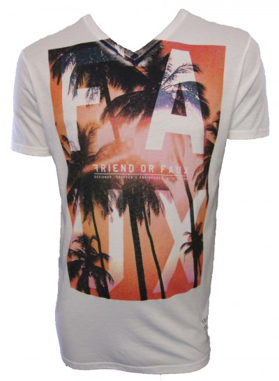 /_images/product/ff/tee/0010_a.jpg