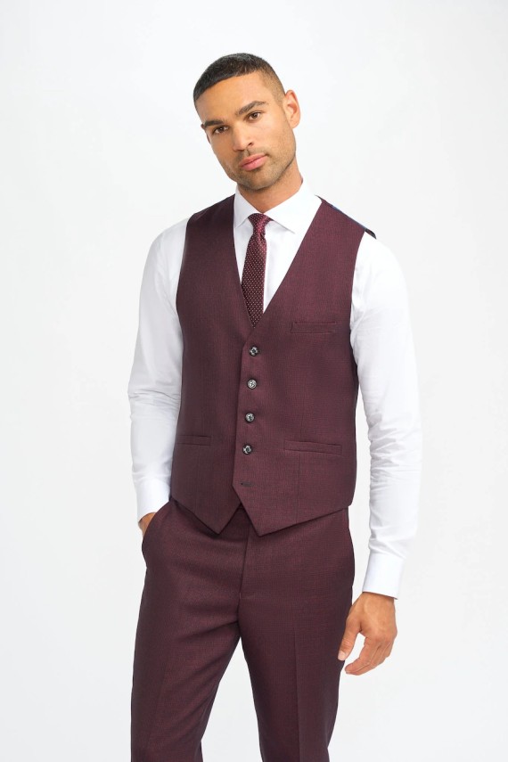 Caridi Wine 3 Piece Suit Wine