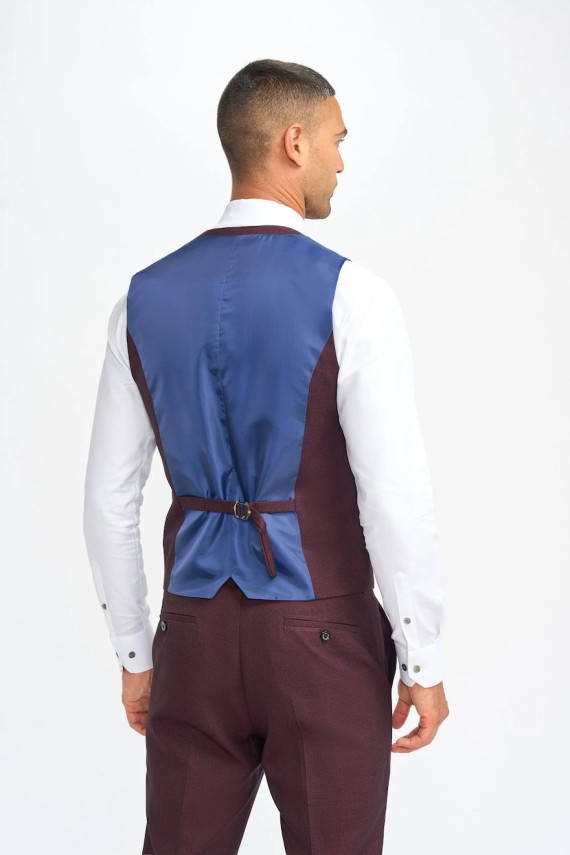 Caridi Wine 3 Piece Suit Wine