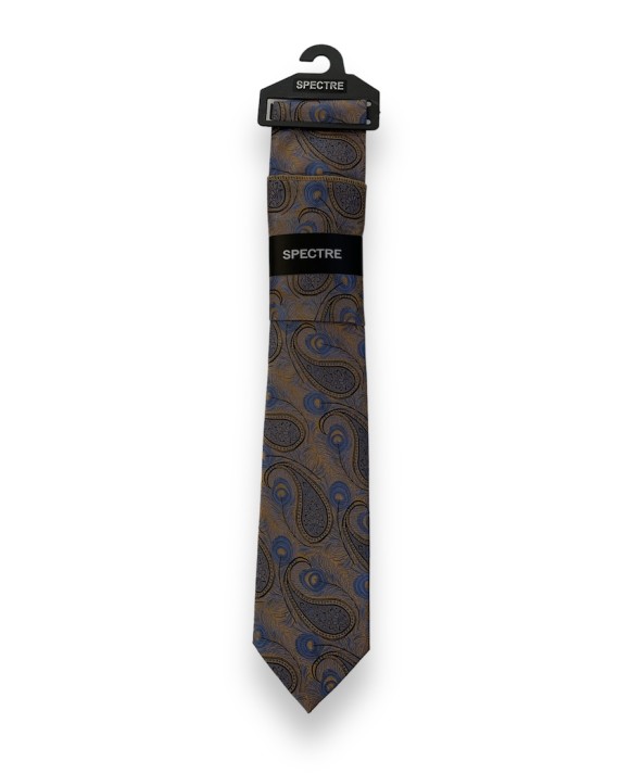 Peacock Paisley Tie And Pocket Square Set Gold/Blue