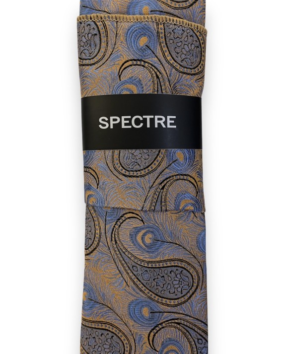 Peacock Paisley Tie And Pocket Square Set Gold/Blue